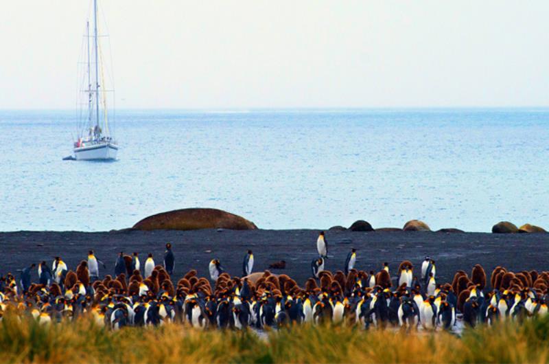 Voir la présentation du Santa Maria Australis