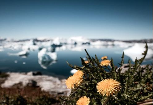 Sermilik, la route des icebergs &copy; ©?VisualCommunications / Getty Images