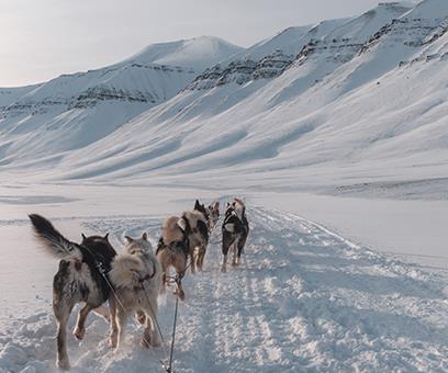 Réveillons à Longyearbyen &copy; Hanneke Luijting / Getty Images