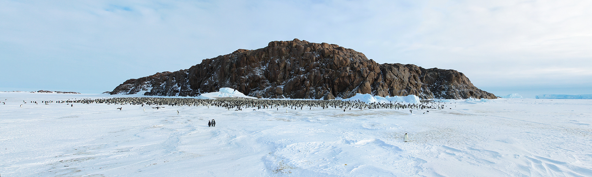 Navigation Péninsule antarctique © Sergey / Adobe Stock