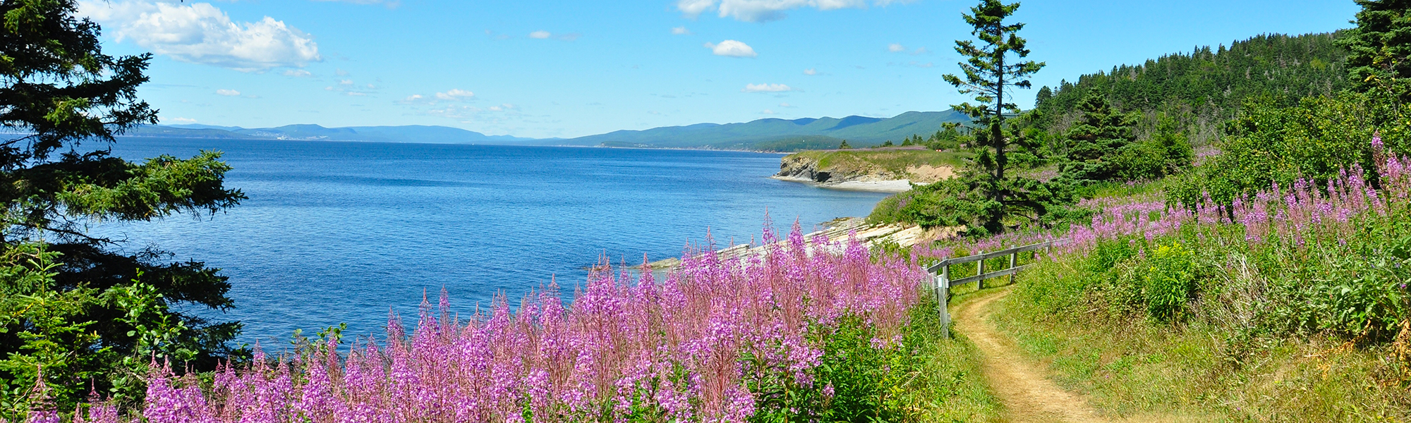 Voyage sur mesure Québec © Gmoulart -Adobe-Stock