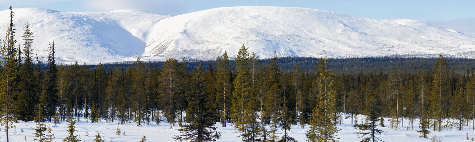 Voyage en Laponie finlandaise © Visit Finland