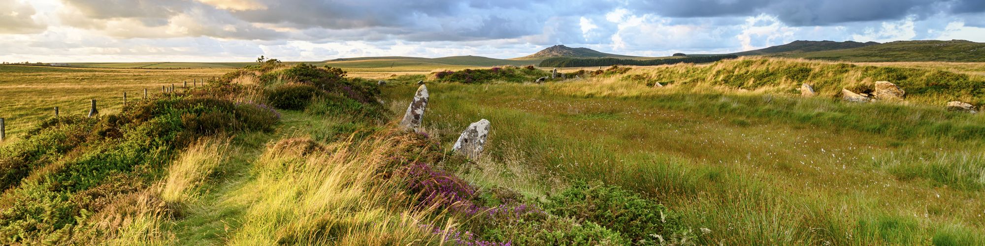 Croisière et voyage en Angleterre © Helen Hotson/iStock