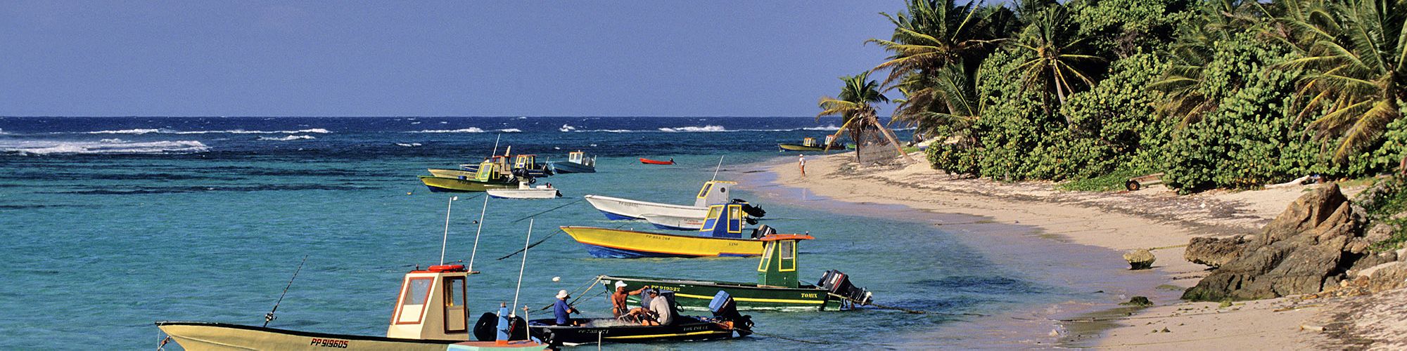 Croisière et voyage en Guadeloupe © Marc Dozier