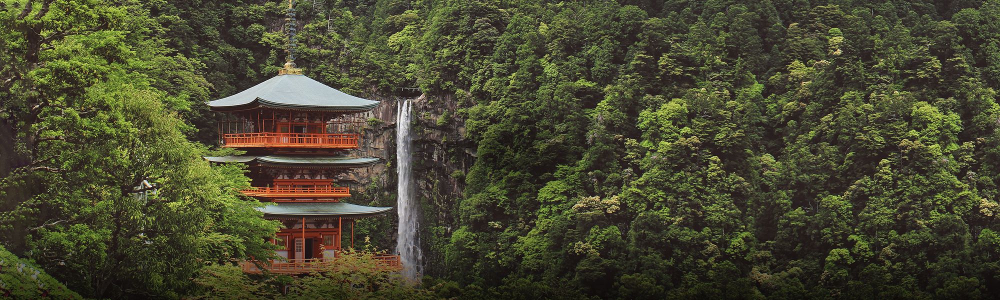 Voyages découverte en croisière au Japon
