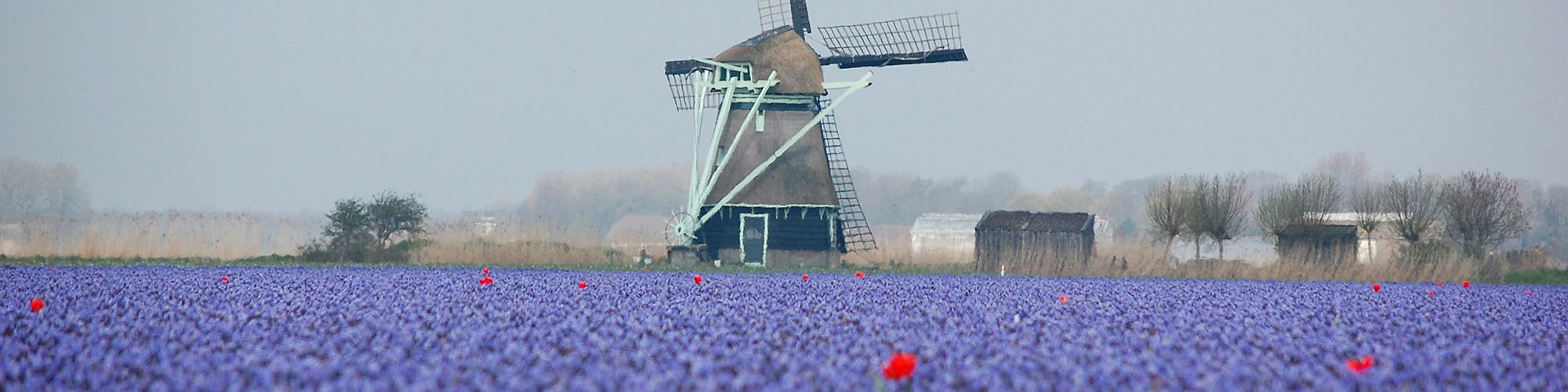 Croisière aux Pays-Bas sur un bateau de croisière