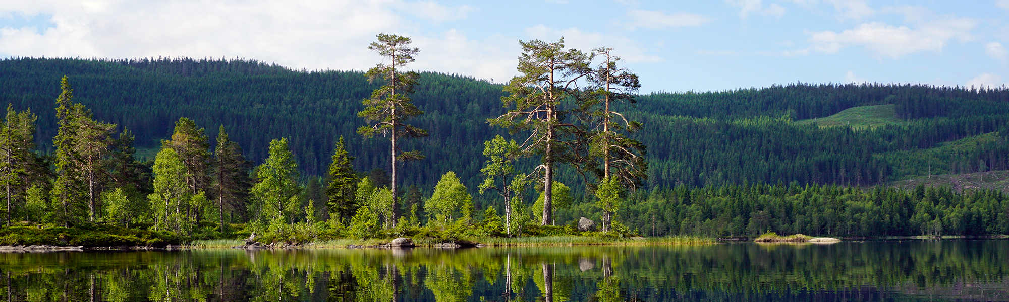 Randonnée Laponie norvégienne © Tord Baklund - Visit Norway