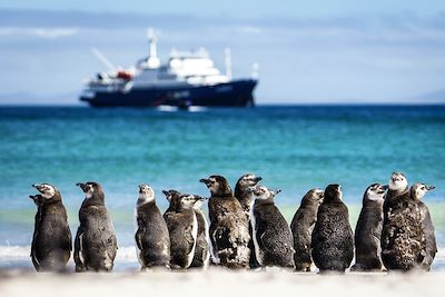 Malouines - Iles de Saunders - Géorgie du Sud