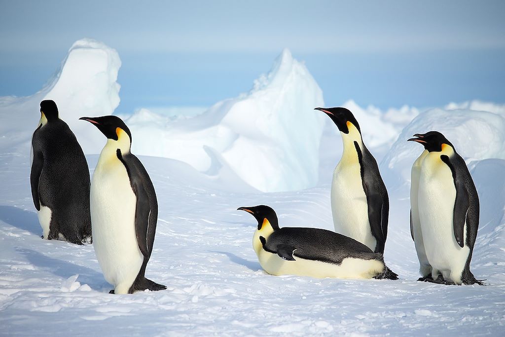Voyage Antarctique : vol jusqu'au pôle Sud 2