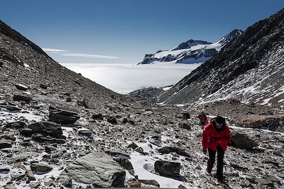 Elephant Head - Union Glacier - Antarctique