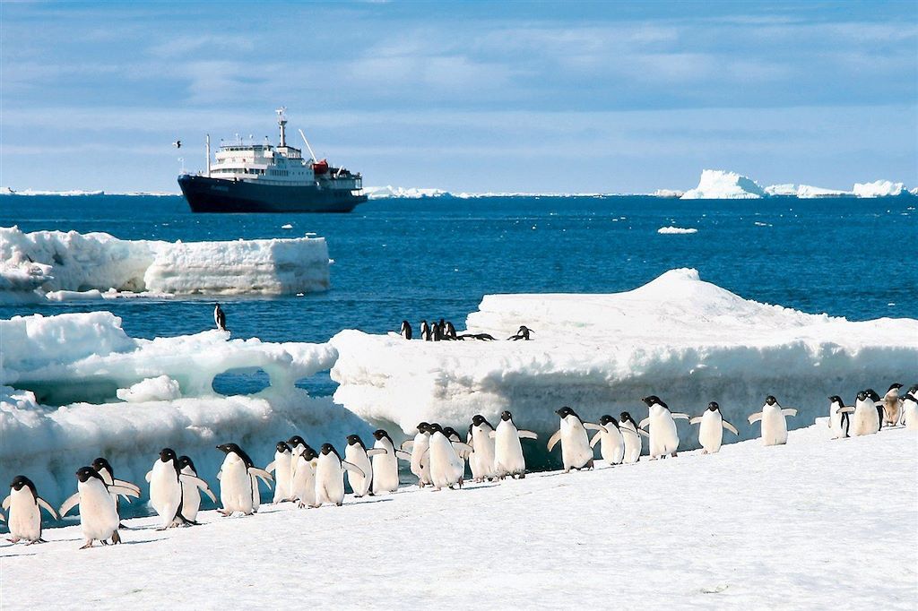 Voyage Antarctique : Terre de tous les extrêmes 2