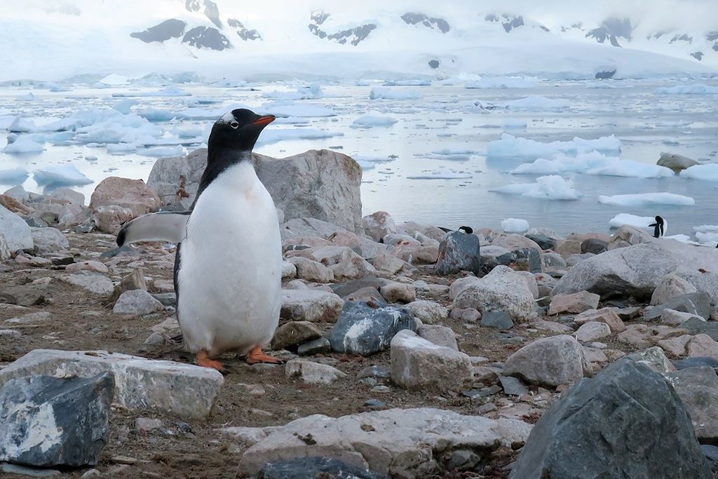 Voyage Antarctique Express : Survol du Drake 3
