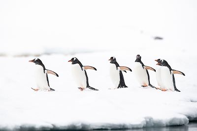 Navigation Antarctique