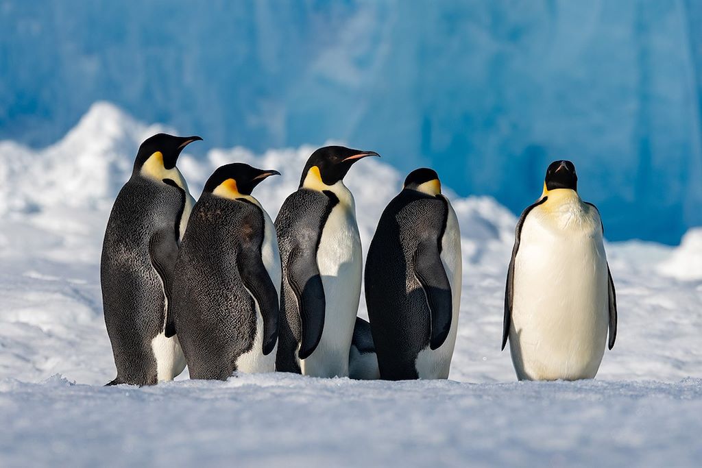 Voyage Découverte de la côte est de l'Antarctique 1