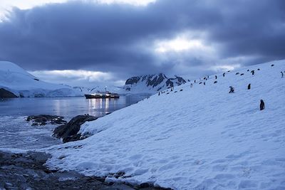 Le Plancius en terre de Graham - Antarctique