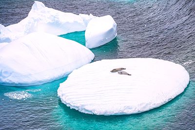 Péninsule Antarctique, Terre de Graham, chenal Lemaire - Antarctique