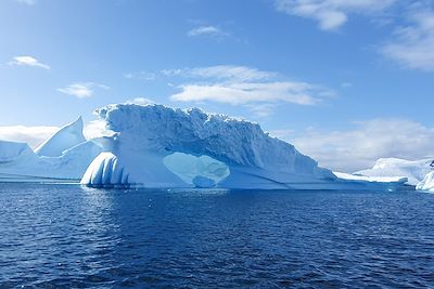 Ile Pléneau - Antarctique 