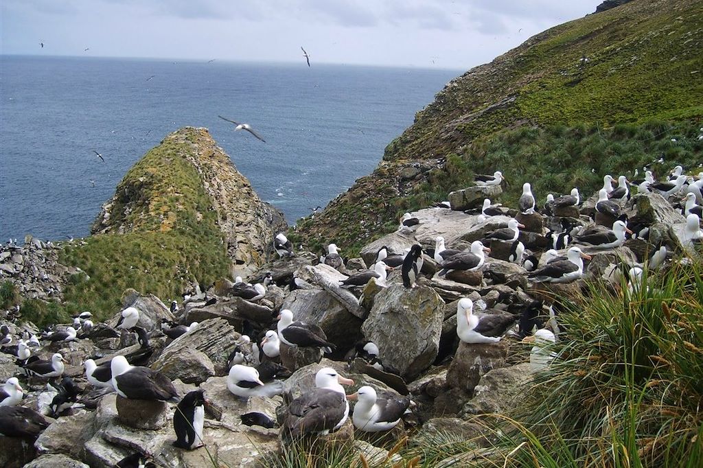 Voyage Exploration dans le Grand Sud 3