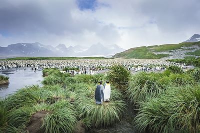 Observation animalière Antarctique