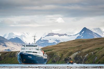 Le Plancius dans la baie de Grytviken - Géorgie du Sud