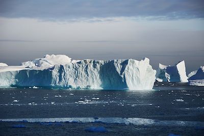 Iceberg - Antarctique