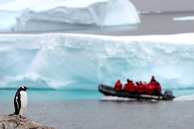 © Nathalie Michel / Studio PONANT - Ile de Cuverville - Antarctique Ile de Cuverville - Antarctique