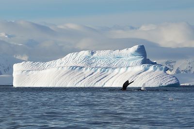 Voyage Cap sur le Grand Sud 3