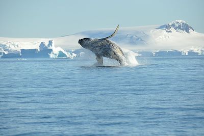 Voyage Cap sur le Grand Sud 1