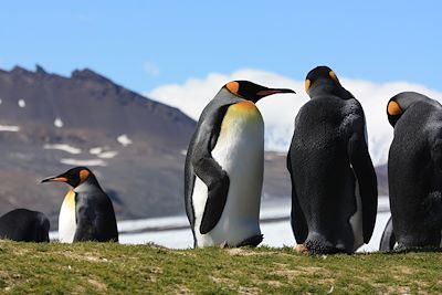 Voyage L'épopée atlantique du sud au nord 1