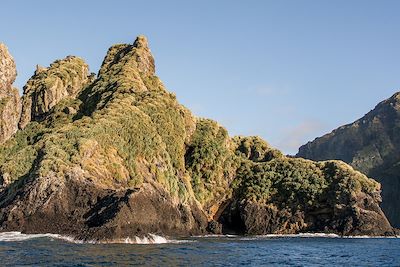 Ile Gough - Archipel Tristan da Cunha - Royaume-Uni