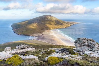 Ile Saunders - Iles Malouines 