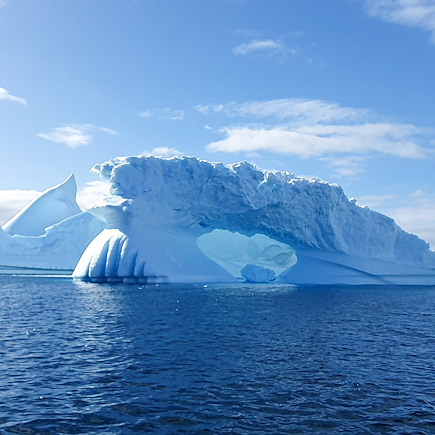 Navigation Antarctique Terre de Feu argentine