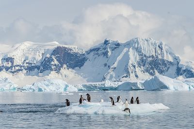 Mer de Weddell - Antarctique