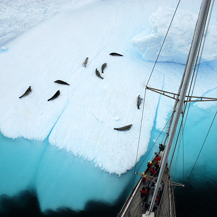 Navigation Antarctique Péninsule antarctique