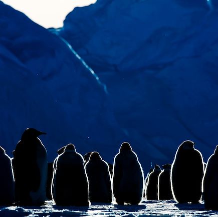 Navigation Antarctique Mer de Weddell