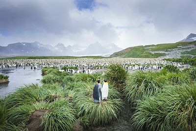 Observation animalière Péninsule antarctique