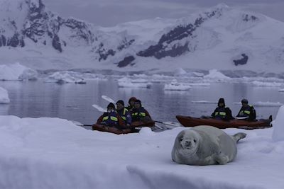 © Anjali Pande/Oceanwide Expeditions - Sortie en Kayak - Antarctique Sortie en Kayak - Antarctique