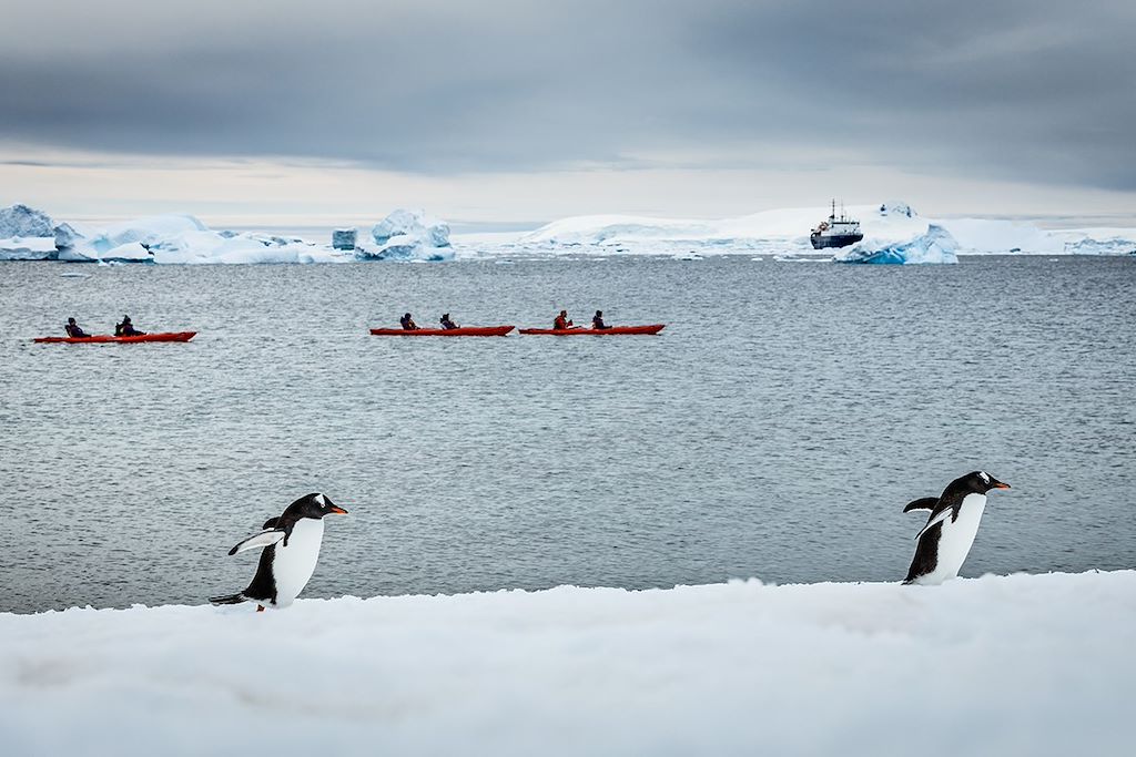 Image Croisière basecamp Antarctique - Kayak - Camping - Randonnées - Raquettes - Alpinisnime