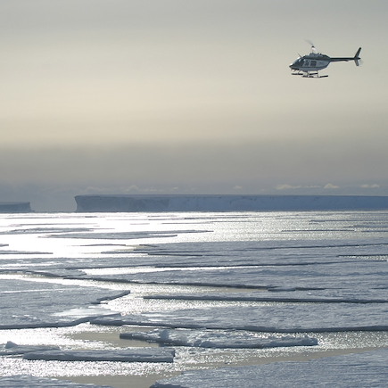 Observation animalière Antarctique Mer de Weddell