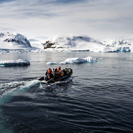 Observation animalière Antarctique Mer de Weddell