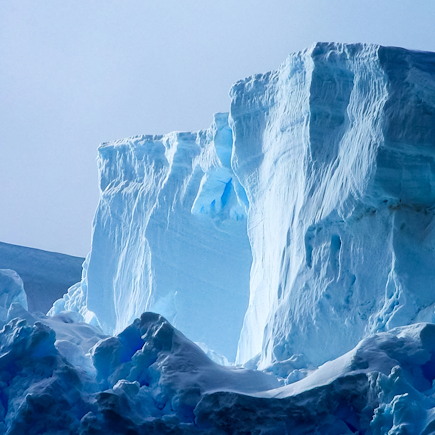 Observation animalière Antarctique Mer de Weddell