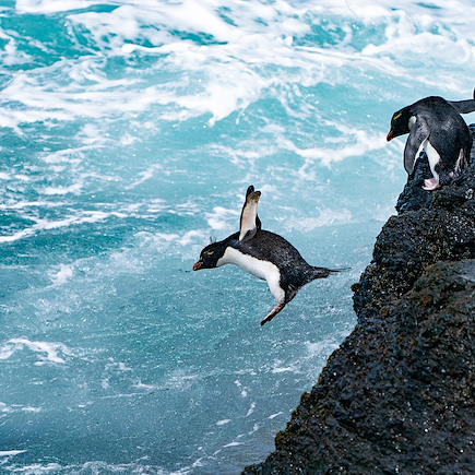 Navigation Antarctique Mer de Weddell