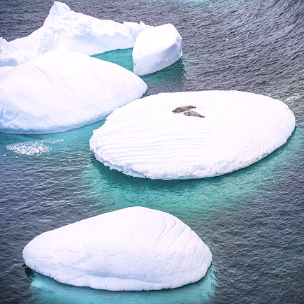 Navigation Antarctique Terre de Feu argentine