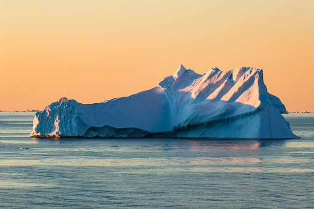 Observation animalière Antarctique Péninsule antarctique