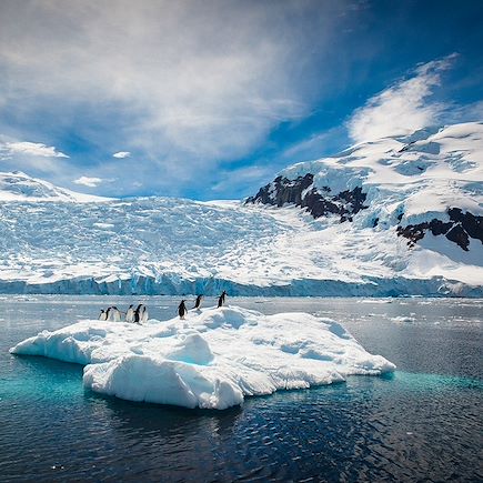 Navigation Antarctique Péninsule antarctique