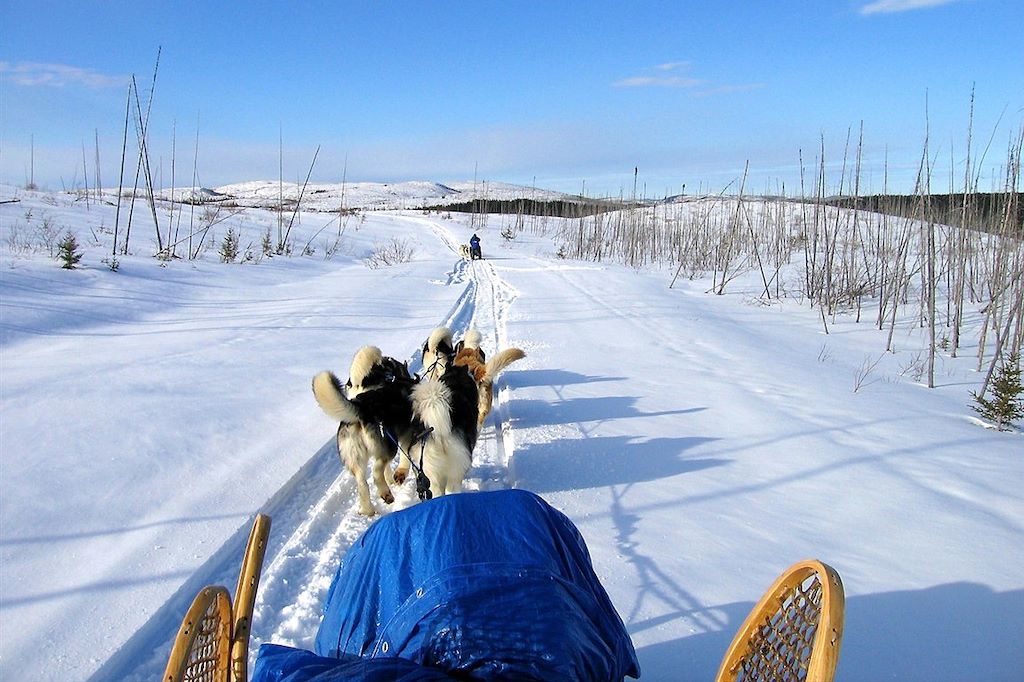 Voyage Expédition en traîneau à chiens au lac Mistassini 2