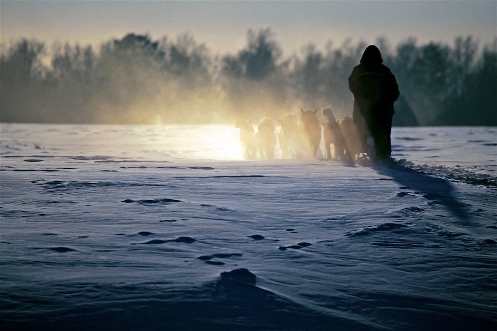 Voyage Expédition en traîneau à chiens au lac Mistassini