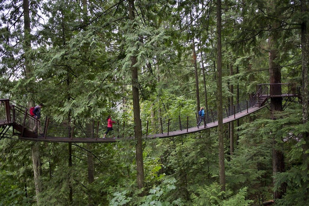 Voyage Découverte de l'île de Vancouver