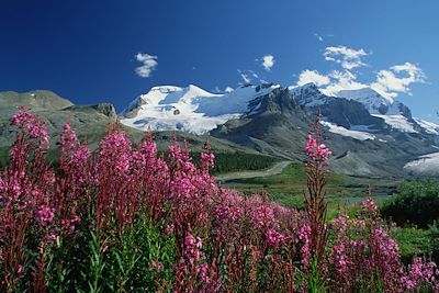 Columbia Icefield - Jasper National Park - Alberta