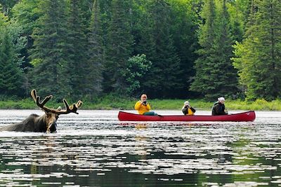 Voyage Ontario